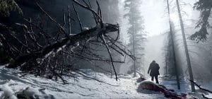 Pemandangan Alam The Revenant